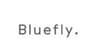 Bluefly logo