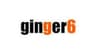 Ginger6 logo