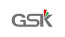 Gskink logo