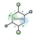 Buy Terpenes UK logo